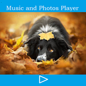 Music Player and Photo frame icon