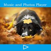 Music Player and Photo frame on 9Apps