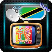Channel Sat TV Tanzania