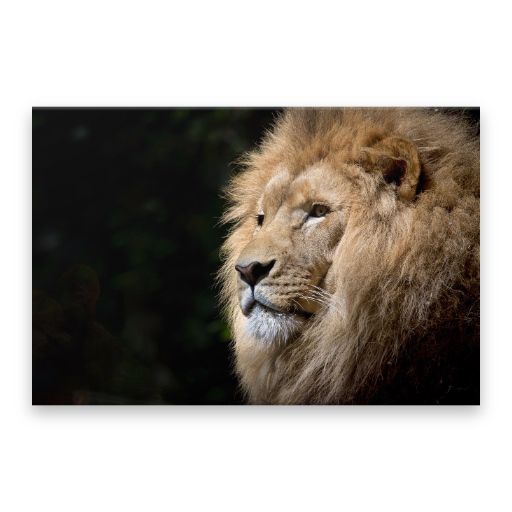 African Geography icon