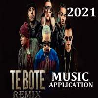 Te Bote Remix [LETRA] - Darell & Friends