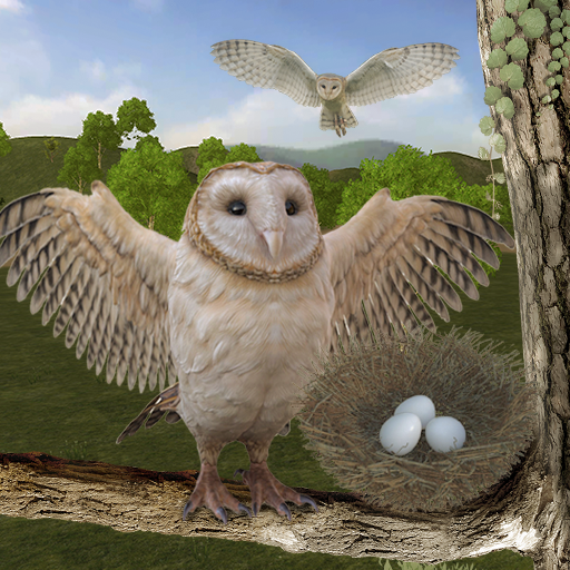 Owl Bird Simulator Birds Game icon