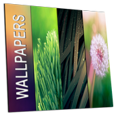 Wallpapers QHD icon