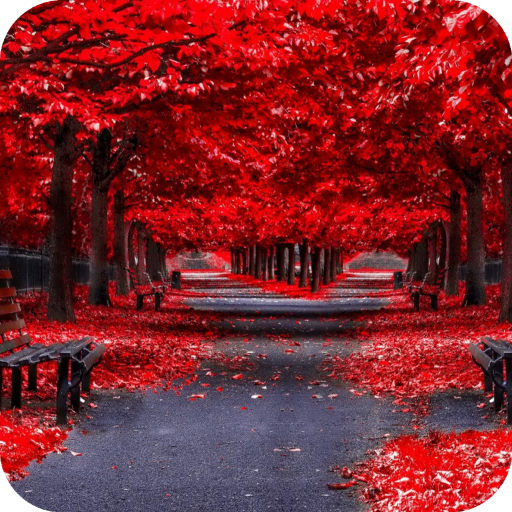 Autumn Wallpaper 4K Latest icon