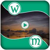 Video Watermark Logo