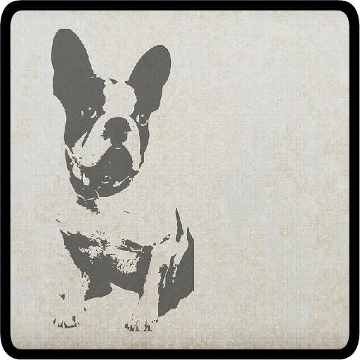 Know and choose dog breed icon