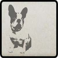 Know and choose dog breed on 9Apps