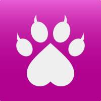 Basbes -Eye contact dating app