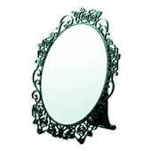 Mirror icon