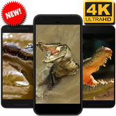 Alligator Wallpaper icon
