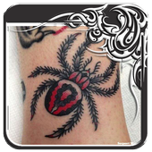 Spider Tattoo Designs icon