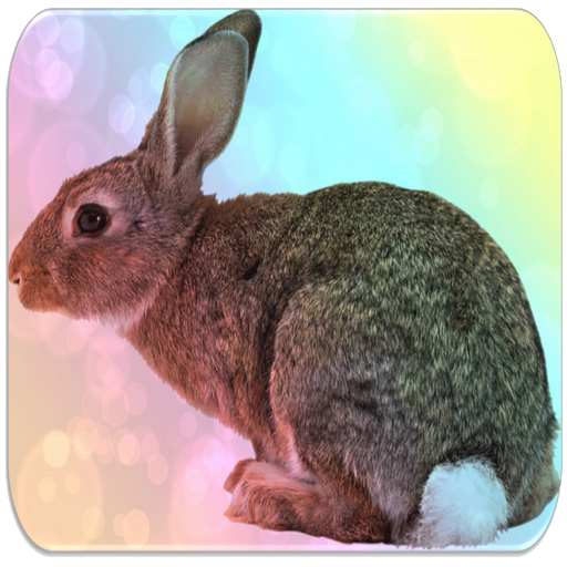 Rabbit sounds icon