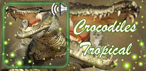 Crocodiles Tropical screenshot 1