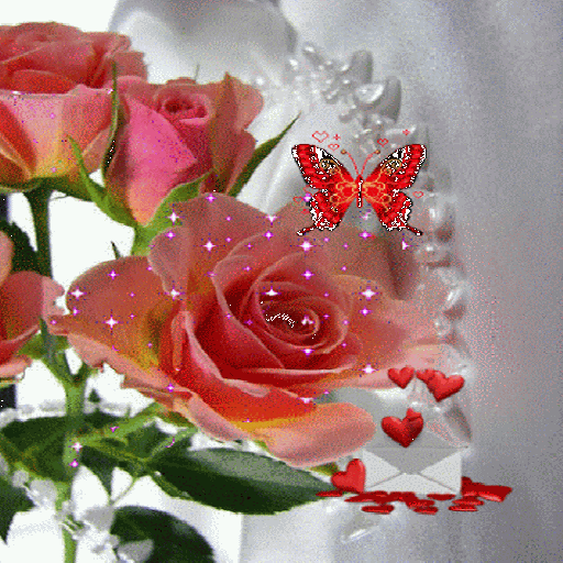 Pink Rose Butterfly LWP आइकन