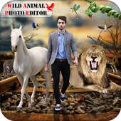 Wild Animal Photo on 9Apps