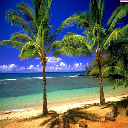 Hd Nature Wallpaper icon