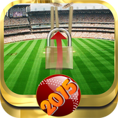 Howzzaaat! Cricket Lock Screen icon