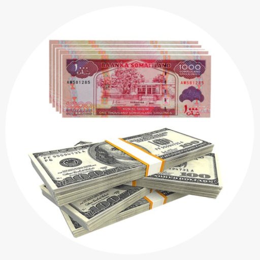 Ayaanle Money exchange icon