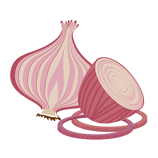Live Onion Video Chat icon