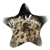 Military Weapons icon