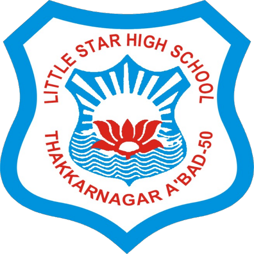 Little Star / Udgam School App icon