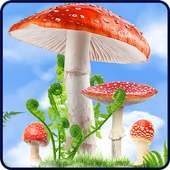 Mushroom HD Live Wallpaper