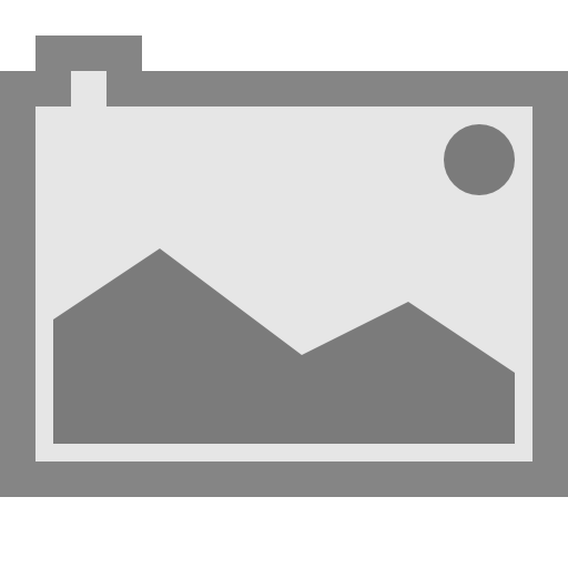 GalleryCam icon