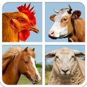 Farm Animal Sounds And Guess