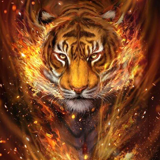 Fire Wallpaper Offline icon