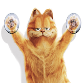 Cats Wallpapers Hd icon