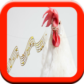 Animal Sound And Name For Free icon