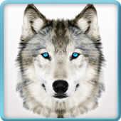 Ultimate Wild Wolf Simulator icon