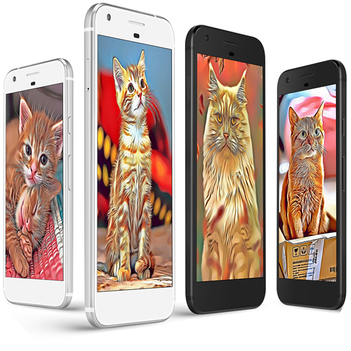 Cat Cartoon Wallpaper icon
