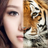 Tiger Camera icon