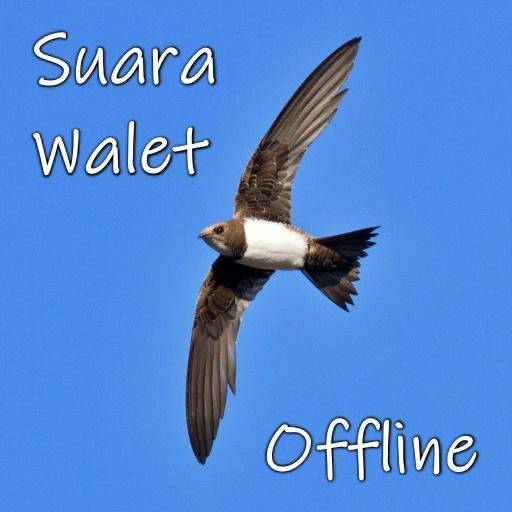 Suara Walet Panggil dan Inap иконка