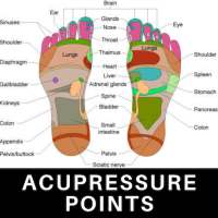 Acupressure Points