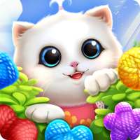 Kitten Party Cat Home Decorate