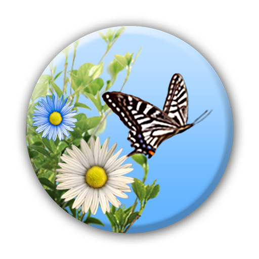 Butterfly icon