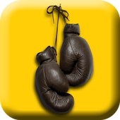 Fight Like A Pro icon