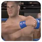 Impact Wrestle Fighting