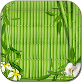 Green elegant wallpapers icon