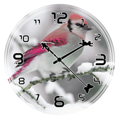 Birds Clock Live Wallpaper icon