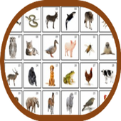 Animal Sounds icon
