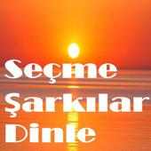 Seçme Şarkılar Dinle on 9Apps