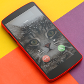 Transparent Photo Caller ID icon