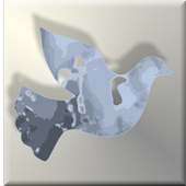 Words of Apostles Daily