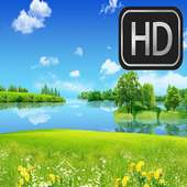 HD Wallpapers For ZTE on 9Apps