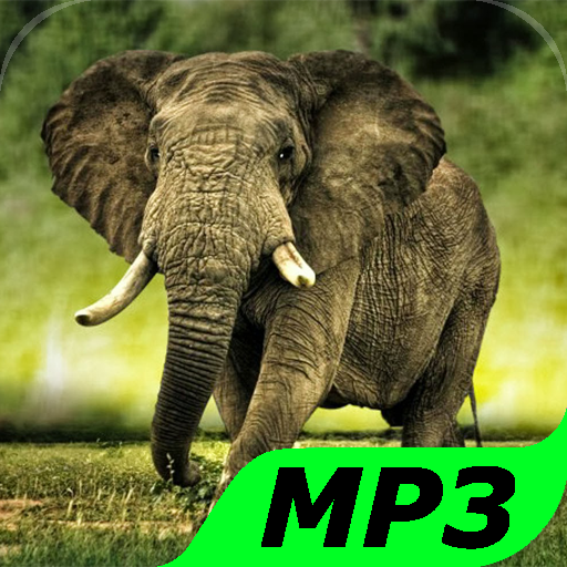 Elephant Sounds icon