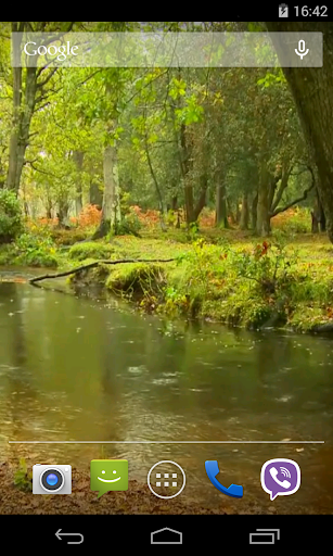 Rain in the forest Video LWP screenshot 2