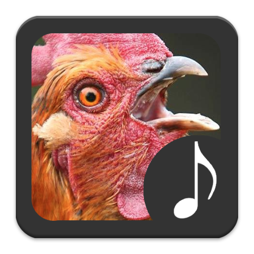 Chicken Sounds icon